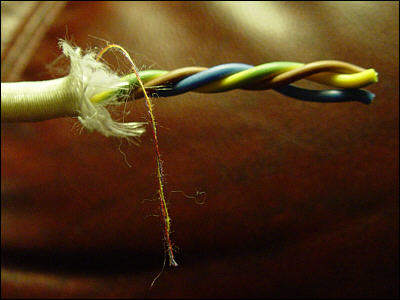 Harlekin-tr&aring;den.