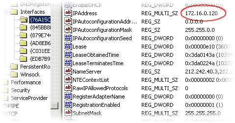 Den med forts&aelig;t indtastede faste IP-adresse, er fundet i registreringsdatabasen. Det er alts&aring; denne mappe, der skal redigeres i.