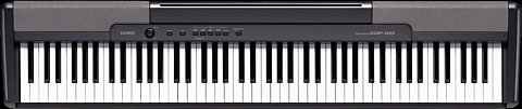 Casio CDP-100